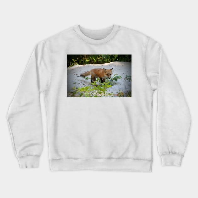 Adorable Fox Cub Crewneck Sweatshirt by Cynthia48